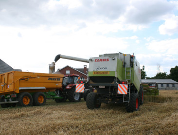 Tijdelijke graanopslag in aardappelloods wordt probleem