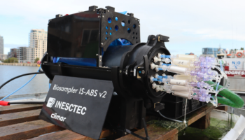 Vlaamse vis­sers hel­pen mee data te ver­za­me­len over vis­soor­ten: “Belangrijk voor adviezen rond visquota”