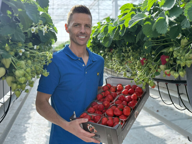 Wim Meyers met eerste aardbeien