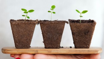 #CoronaCreativiteit: tuinbouwonderwijs op afstand