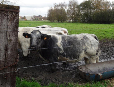 Vlaams Parlement kibbelt over klimaatbeleid