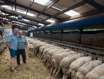Beste boerderijkazenmaker van de wereld: “Vlaanderen was niet rijp voor een schapenbedrijf met eigen verwerking”