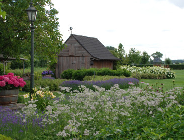 #HOMEsafari gaat opnieuw op zoek naar biodiversiteit in eigen tuin