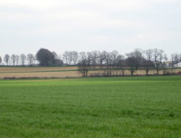 Flankerend beleid oranje en rode veehouders start traag