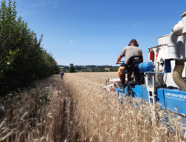 Boslandbouw scheert hoge toppen in Vlaanderen