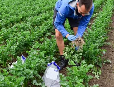Vijf overheidscontroles per jaar zijn geen uitzondering op landbouwbedrijf