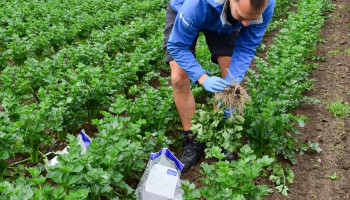 Vijf overheidscontroles per jaar zijn geen uitzondering op landbouwbedrijf