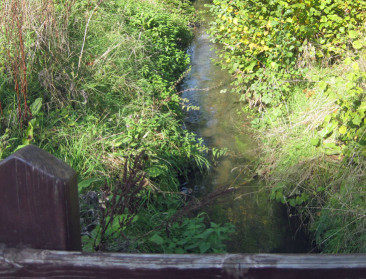 Britse overheid moet waterkwaliteit verantwoorden