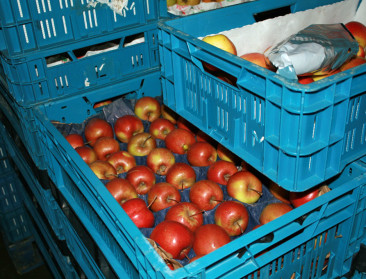 Compensatie niet-oogsten ook voor appelen en groenten