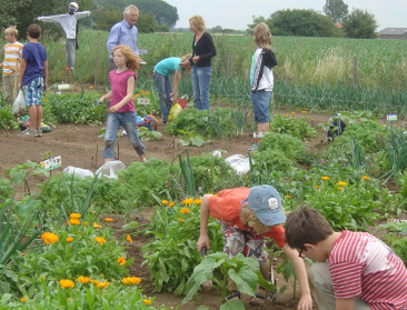 Schauvliege wil meer aandacht voor schoolmoestuintjes