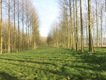 Twijfel en onwetendheid over impact van parkendecreet