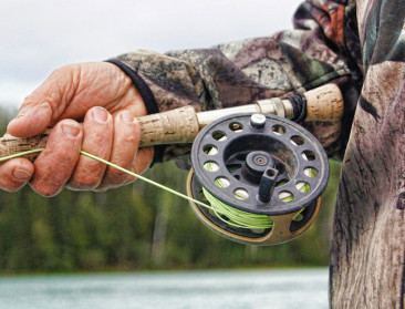 Hobbyvissers gooien hun vangst steeds meer terug