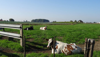 Ruim 1,5 miljoen euro subsidie voor veerkrachtiger West-Vlaams platteland