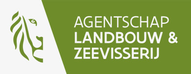 Financieel beheerder