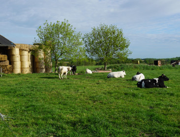 Waals regeerakkoord bevat uitgebreid landbouwhoofdstuk