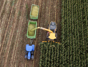 Vlaamse agrohandel legt stevige groeicijfers voor in 2021