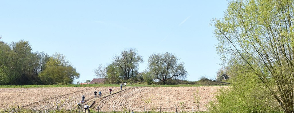 Brabantse Wouden Beersel_LucT