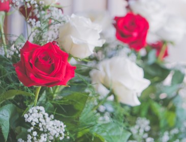 Roos blijft populair voor Valentijn, maar teelt staat onder druk