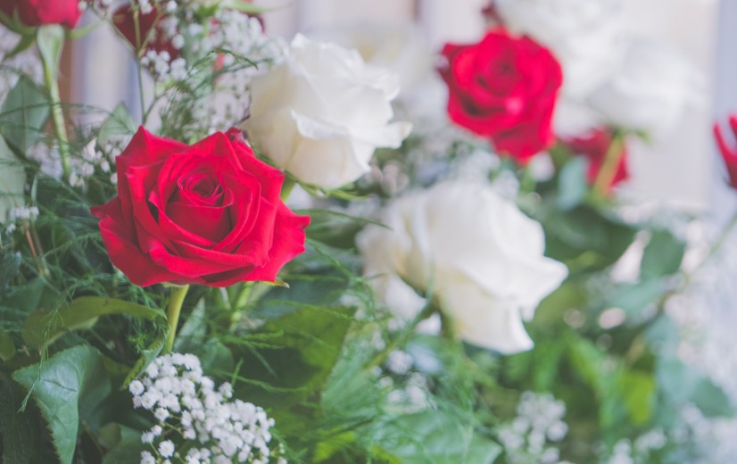 Roos blijft populair voor Valentijn, maar teelt staat onder druk