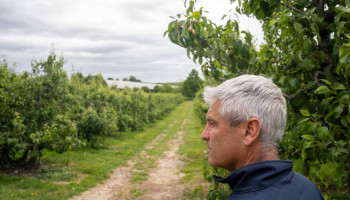 Goede prognoses, maar Vlaamse hardfruitteler waarschuwt voor greep van megahandelaars