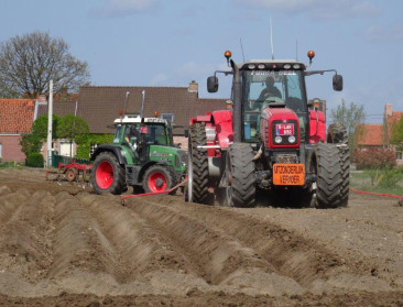Vlaamse akkerbouwers telen op 1.364 hectare pootgoed