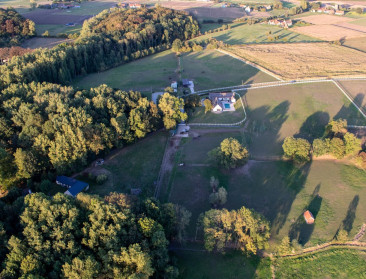 "Stilstand en kapitaalverlies": ILVO ziet systeemfouten in beleid rond oude hoeves