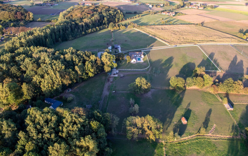 "Stilstand en kapitaalverlies": ILVO ziet systeemfouten in beleid rond oude hoeves