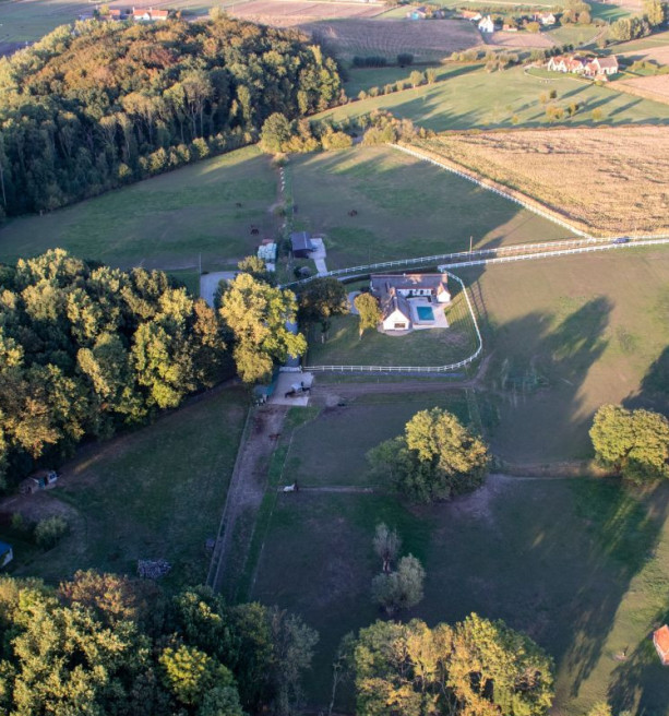 "Stilstand en kapitaalverlies": ILVO ziet systeemfouten in beleid rond oude hoeves