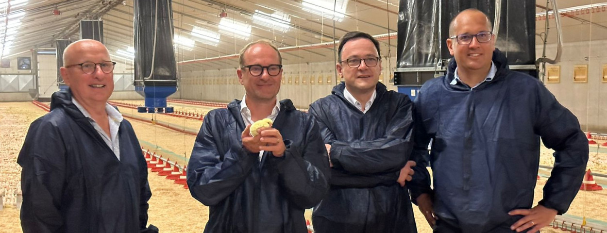 Weyts en NestBorn