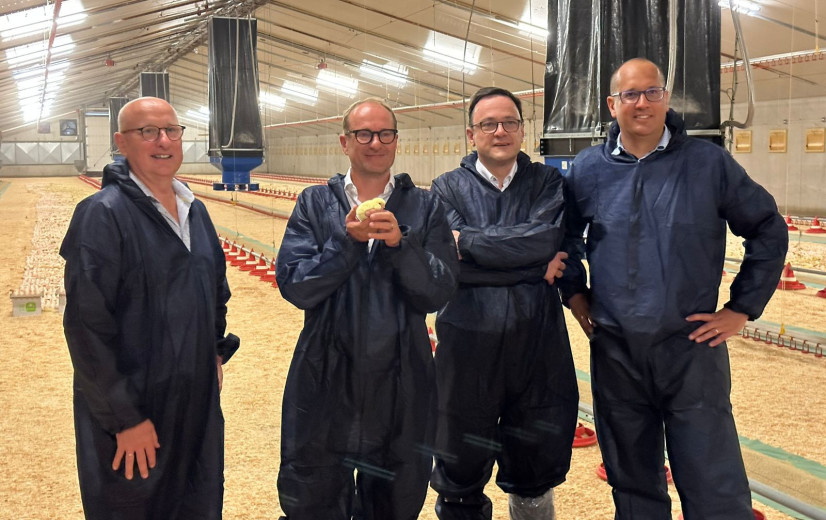 Weyts getuige van “on-farm hatching” op pluimveebedrijf