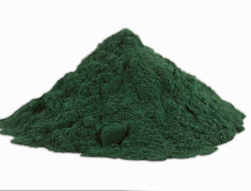 Astronautenvoeding moet eiwittekort Congolezen oplossen