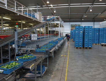 Prijsvorming verse groenten en fruit onder druk