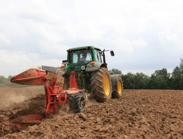 Meer aardappelen en granen, minder gras en suikerbieten: opvallende verschuivingen in Vlaamse teeltkeuzes