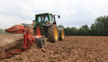 Meer aardappelen en granen, minder gras en suikerbieten: opvallende verschuivingen in Vlaamse teeltkeuzes
