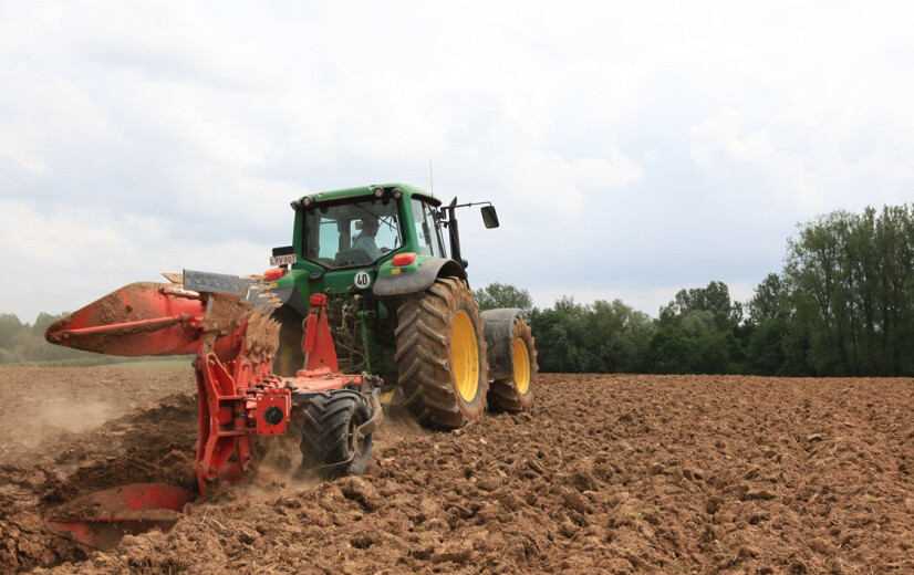 Meer aardappelen en granen, minder gras en suikerbieten: opvallende verschuivingen in Vlaamse teeltkeuzes