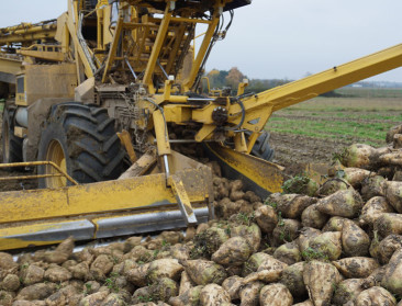 Suikerproductie niet rendabel, zegt Europese Commissie