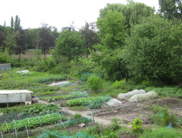 Leuvenaars schrijven samen aan lokale voedselstrategie