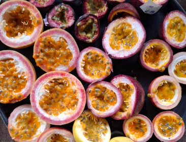 Na meloen nu de passievrucht: Proefcentrum Hoogstraten doet teeltonderzoek naar exotische importvrucht