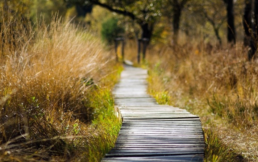 Landschaps- en nationale parken roepen verschillende vragen op