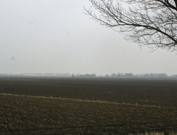 Tijdelijk landbouwgebruik op natuurcompensatiegronden