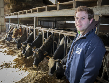 Dit was 2021: de moordende onzekerheid van het stikstofarrest