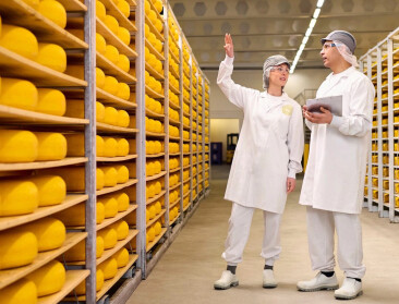 FrieslandCampina boekt kwart meer winst door hogere prijzen en besparingen