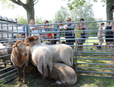 Jubileumeditie van Levend Erfgoed Expo in Wachtebeke