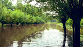 EU-milieuagentschap: “Vervuiling, overmatig watergebruik en klimaatverandering bedreigen ons watersysteem”