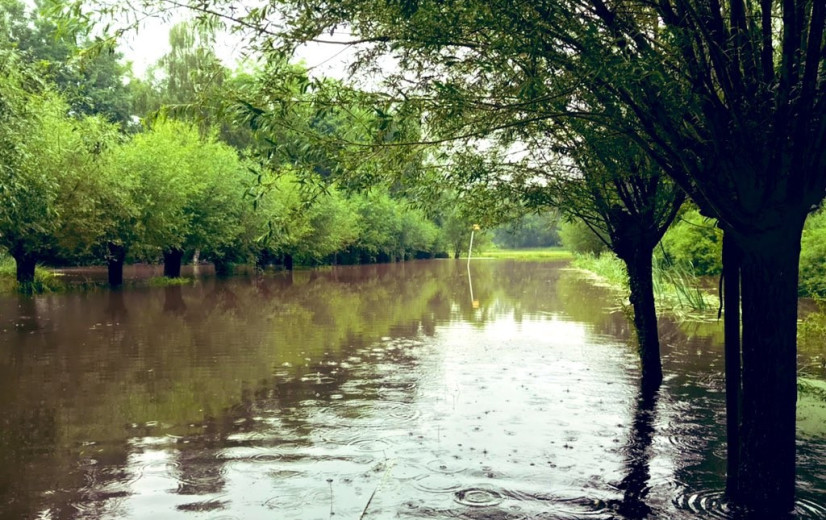 EU-milieuagentschap: “Vervuiling, overmatig watergebruik en klimaatverandering bedreigen ons watersysteem”