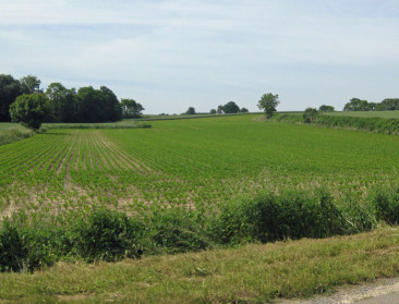 “Oorspronkelijk doel ruilverkaveling Schelde-Leie niet uit het oog verliezen”