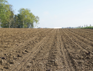 Pilootproject moet bodem klimaatrobuuster maken met circulaire landbouw