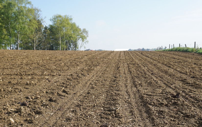 Laat akkers niet kaal de winter in: deadline bodembedekking nadert