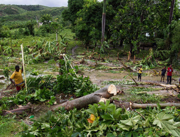 Drie miljoen van België voor herstel landbouw in Haïti