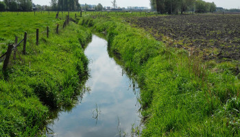 Slecht mestrapport: “Druk vanuit landbouw op waterkwaliteit blijft groot”